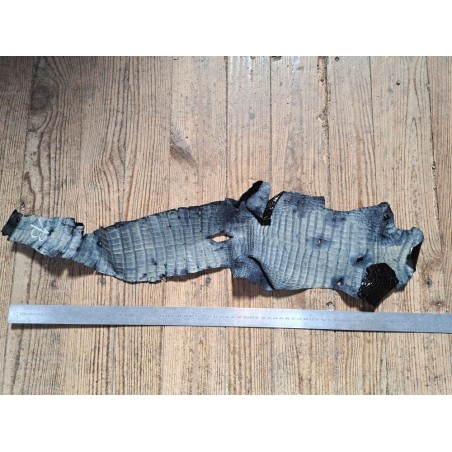 Peau de cuir de crocodile véritable - Noir