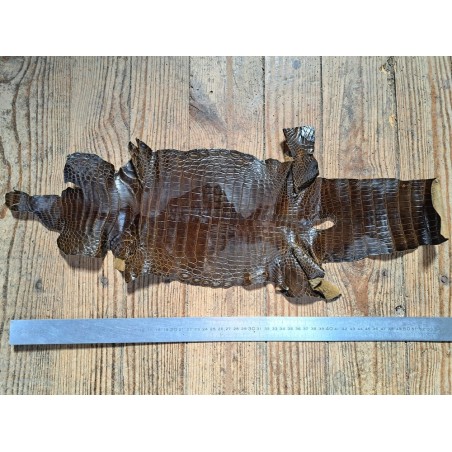 Morceau de cuir de crocodile - Brun kaki - Cuir en Stock