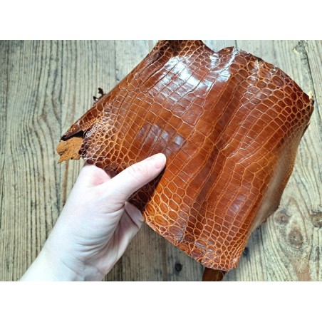 Peau de cuir de crocodile véritable - Brun roux