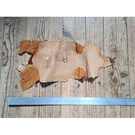 Peau de cuir de crocodile véritable - Brun roux