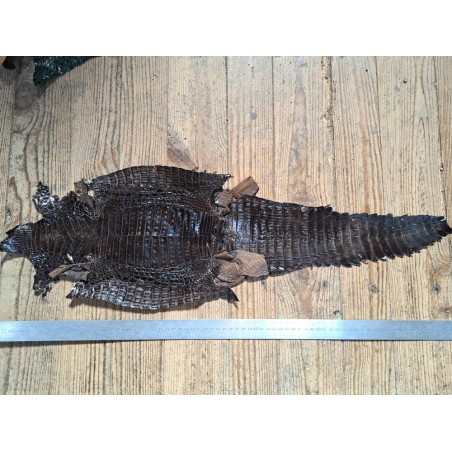 Peau de cuir de crocodile véritable - Café - Cuir en Stock