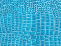 Morceau de cuir de crocodile véritable - turquoise - bijoux et accessoires - Cuir en stock