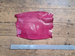 Lot de 2 peaux de cuir de lézard - B - Rose/Noir