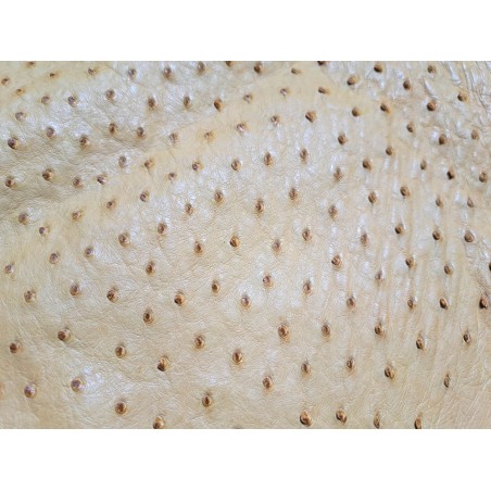 Peau de cuir d'autruche - jaune ocre - picots luxe - Cuir en stock