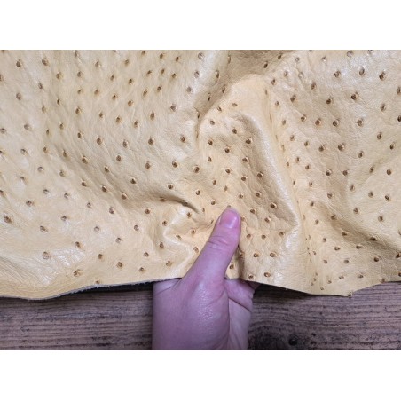 Peau de cuir d'autruche - jaune ocre - picots luxe - Cuir en stock