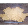 Peau de cuir d'autruche - jaune ocre - picots luxe - Cuir en stock