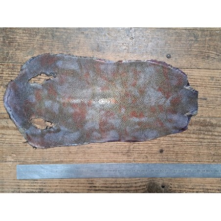 Peau unique de galuchat - N°6 - Multi couleurs Argenté - Cuir en Stock