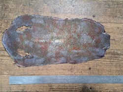 Peau unique de galuchat - N°6 - Multi couleurs Argenté - Cuir en Stock