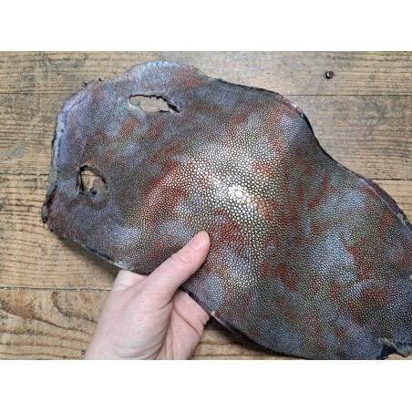 Peau unique de galuchat - N°6 - Multi couleurs Argenté - Cuir en Stock