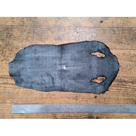 Peau unique de galuchat - N°6 - Multi couleurs Argenté - Cuir en Stock