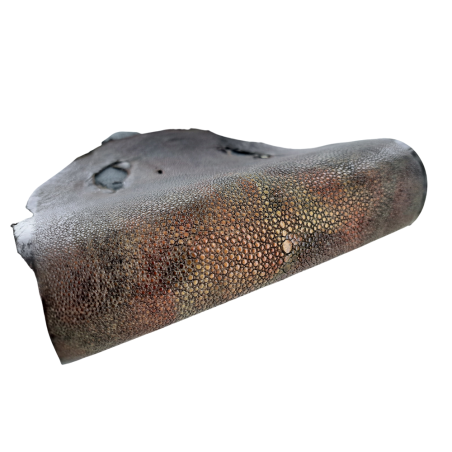 Peau unique de galuchat poncée - N°22 - Multi couleurs Doré