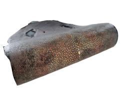 Peau unique de galuchat poncée - N°22 - Multi couleurs Doré