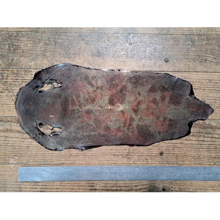 Peau unique de galuchat poncée - N°22 - Multi couleurs Doré