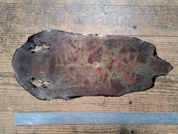 Peau unique de galuchat poncée - N°22 - Multi couleurs Doré