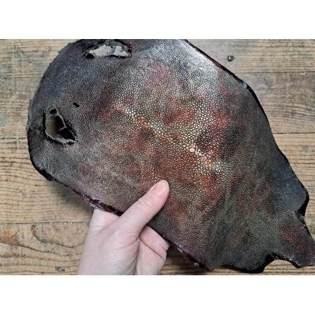 Peau unique de galuchat poncée - N°22 - Multi couleurs Doré