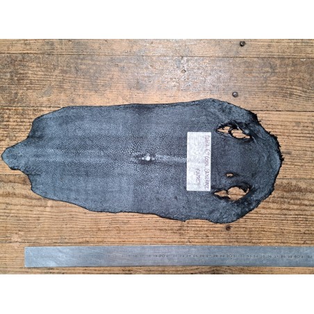 Peau unique de galuchat poncée - N°22 - Multi couleurs Doré