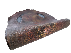 Peau unique de galuchat poncée - N°25 - Multi couleurs Rouge