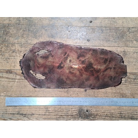 Peau unique de galuchat poncée - N°25 - Multi couleurs Rouge