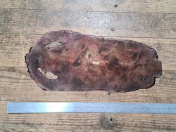 Peau unique de galuchat poncée - N°25 - Multi couleurs Rouge