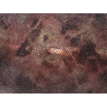 Peau unique de galuchat poncée - N°25 - Multi couleurs Rouge