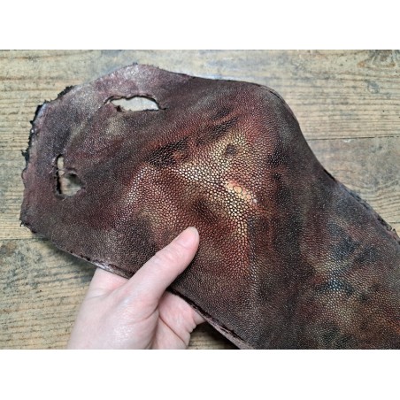 Peau unique de galuchat poncée - N°25 - Multi couleurs Rouge