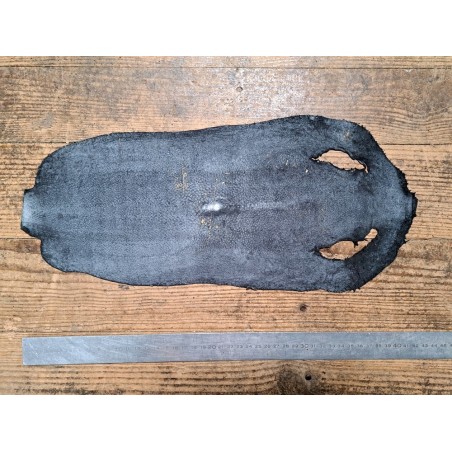 Peau unique de galuchat poncée - N°25 - Multi couleurs Rouge