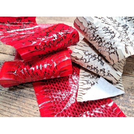 lot serpent - couleur diverse - cuirenstock