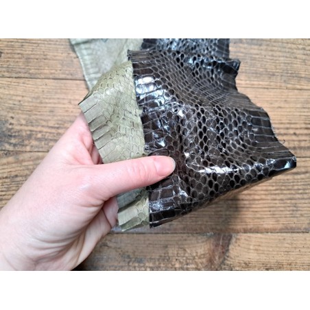 lot serpent - couleur diverse - cuirenstock