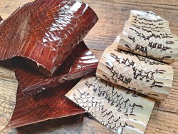 lot serpent - couleur diverse - cuirenstock