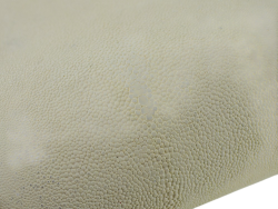 Peau de cuir de galuchat véritable exotique - Blanc - Cuir en Stock