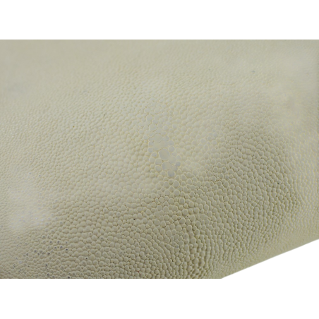 Peau de cuir de galuchat véritable exotique - Blanc - Cuir en Stock