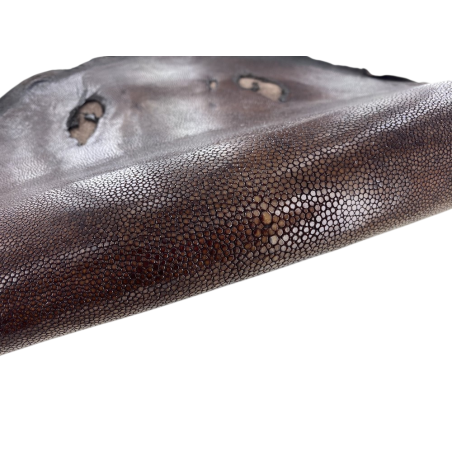 Peau de cuir de galuchat véritable - Marron chocolat - Cuir en Stock
