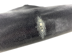 Grande peau de cuir de galuchat - Noir perle blanchie