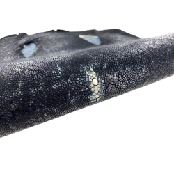 Peau de cuir de galuchat véritable - Noir moucheté - Cuir en Stock