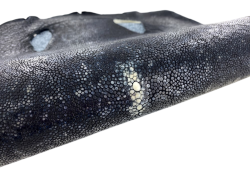 Peau de cuir de galuchat véritable - Noir moucheté - Cuir en Stock