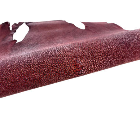 Peau de cuir de galuchat véritable - Bordeaux - Cuir en Stock