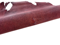 Peau de cuir de galuchat véritable - Bordeaux - Cuir en Stock