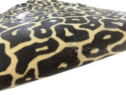 Peau de cuir de galuchat véritable - Léopard beige - Cuir en Stock