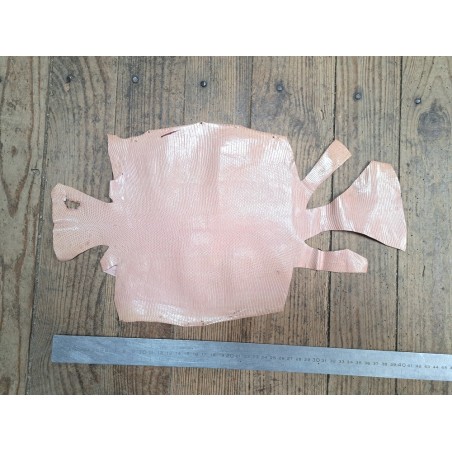 Lot de 2 peaux de cuir de lézard - C - Rose pâle/Café