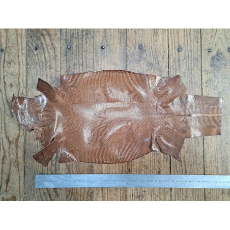 Lot de 2 peaux de cuir de lézard - C - Rose pâle/Café