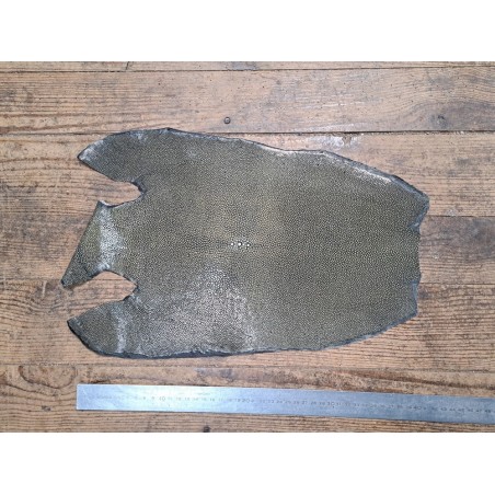 Peau unique de galuchat - N°24 - Olive - Cuirenstock