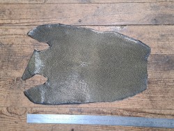 Peau unique de galuchat - N°24 - Olive - Cuirenstock