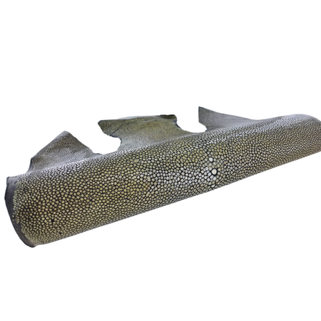 Peau unique de galuchat - N°24 - Olive - Cuirenstock