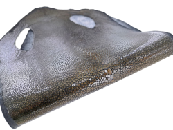 Peau de galuchat - perle centrale - cuir exotique - or antique - Cuir en Stock