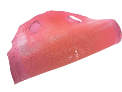 Peau de galuchat - perle centrale - cuir exotique - rose - Cuir en Stock