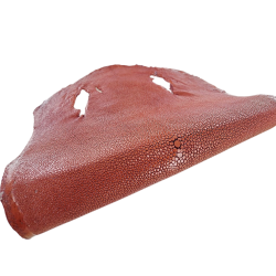 Peau de galuchat - perle centrale - cuir exotique - irisé pourpre  - Cuir en Stock