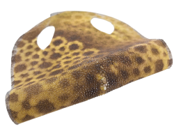 Peau de galuchat - perle centrale - cuir exotique - fleuri ocre  - Cuir en Stock