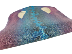 Peau de galuchat - perle centrale - cuir exotique - salamandre Turquoise/violet  - Cuir en Stock