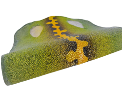Peau de galuchat - perle centrale - cuir exotique - salamandre Vert  - Cuir en Stock