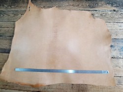 Collet de cuir de vache – Tannage végétal raide 2ᵉ choix - C -